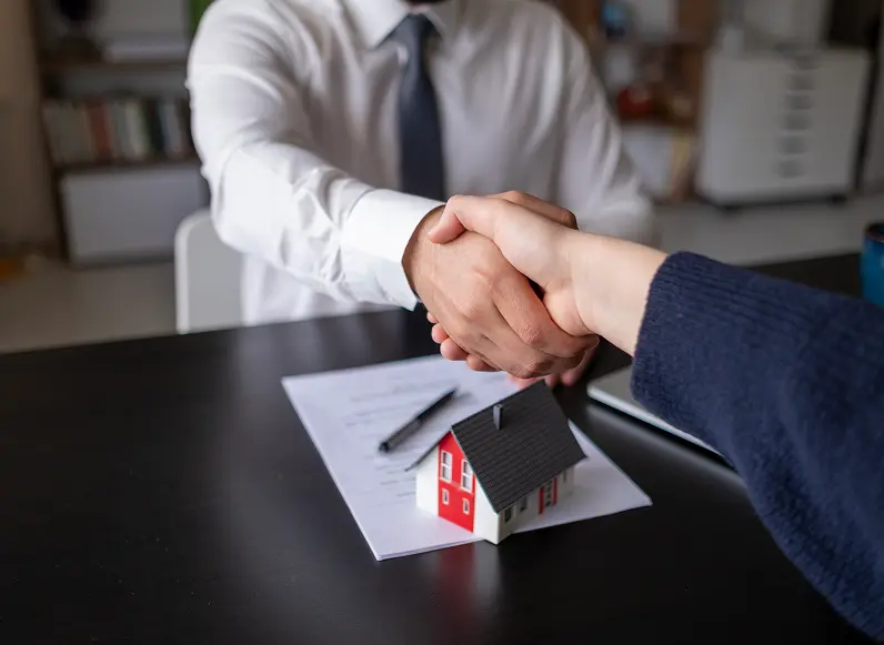Management Services